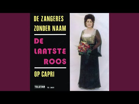 De Laatste Roos