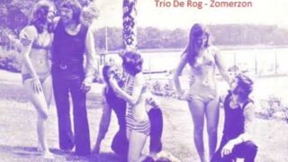 Trio De Rog – Zomerzon