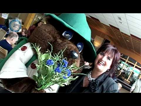 Janneke de Roo – Blauwe Korenbloemen