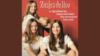 Kleine Duif